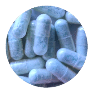 blue freezie mdma capsules