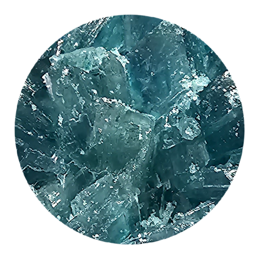 blue dolphin molly blue dolphin molly