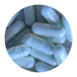 blue dolphin mdma capsules