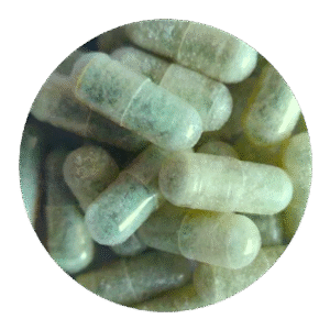 jade dragon mdma capsules