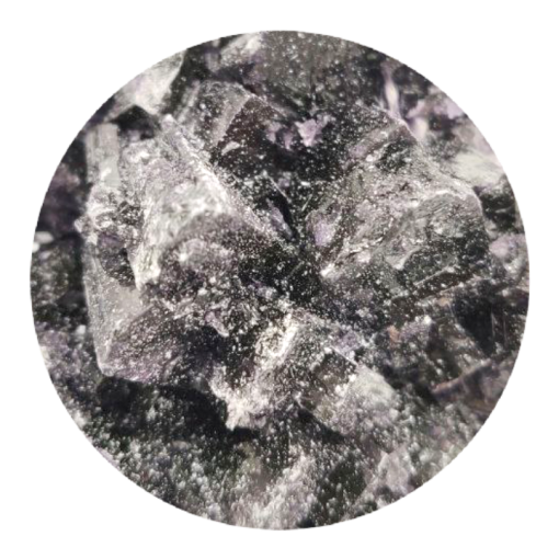 purple quasar molly purple quasar molly